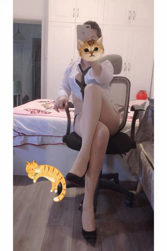 南京新街口大猫